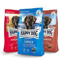 Happy Dog